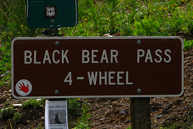 blackbearroad8