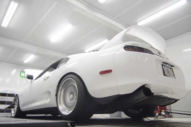 reardyno