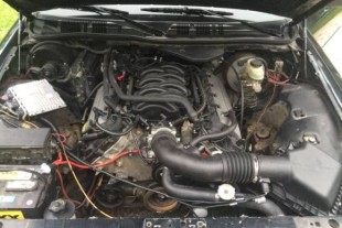 Johnny Law's New Toy? A Ford Crown Victoria Coyote Swap