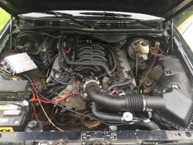 Johnny Law's New Toy? A Ford Crown Victoria Coyote Swap