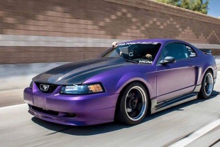 Mustang Girl Monday: Stangpede President Lorin Maureen