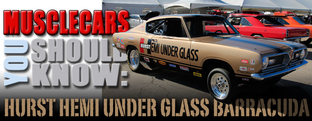 mcysksdhemiunderglass