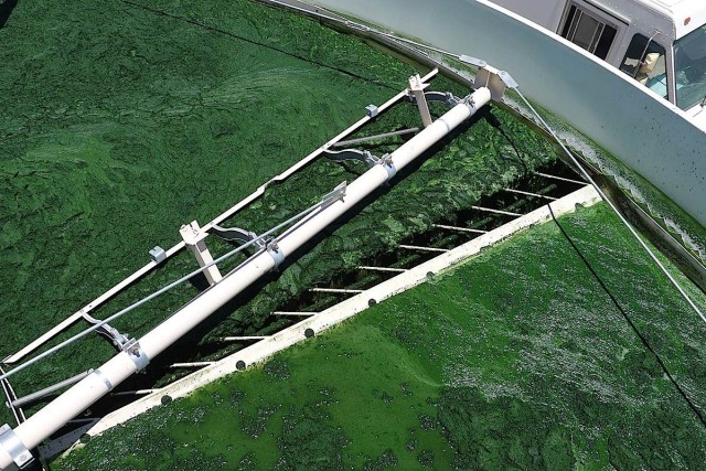 All of the systems at the Green Crude Farm including the harvest system (pictured) will undergo a shakedown process that is designed to confirm the viability of the demonstration algae farm.