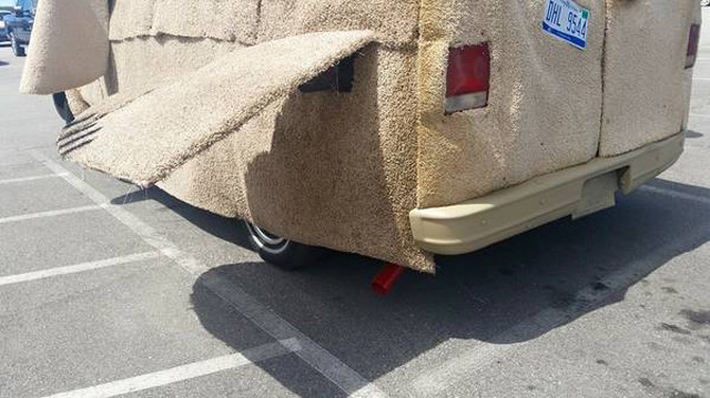 dogvan_2