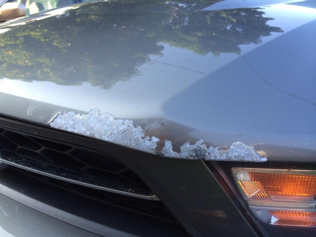 ford-hood-1