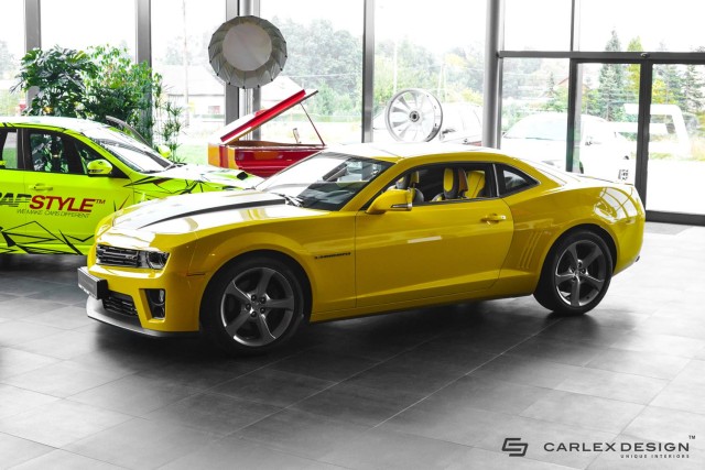 bumblebee-1