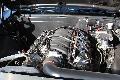 IMG4978