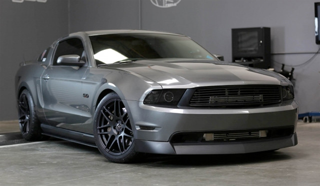 dynostang