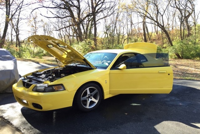 Reece hasn't had the chance to drive the Cobra yet, but Malcolm is prepared for when the spring comes, Reece will be asking for a chance at the wheel.