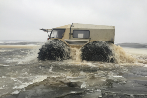Video: Meet the Sherp