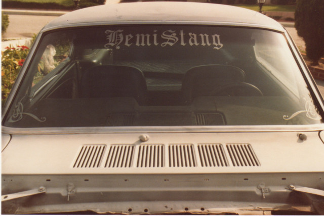 Mustang_02