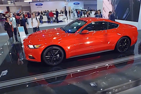 Video: Polish Mustang Club Celebrates 50 Years Of Mustang