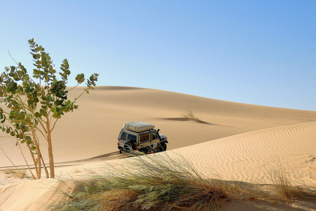 desert