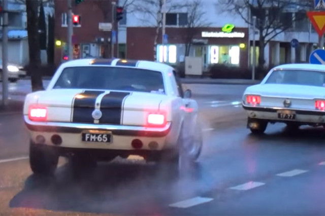 mustang1