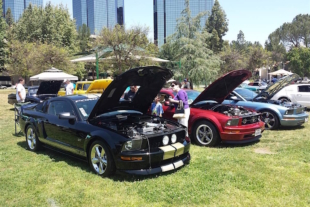 MOCC's Mustangs In The Park Car Show Is A Club Tradition