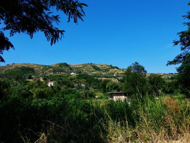 Ascea 3