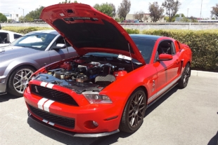 Annual Shelby Tribute Show Honored 50 Years Of Shelby Performance