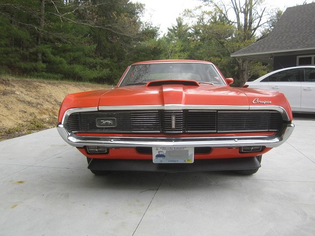cougar-6