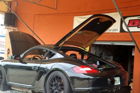 Video: Even Porsches Aren't Immune From Coyote Swaps