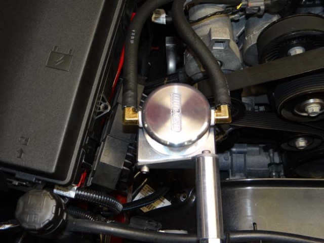 F125613226