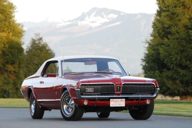 first-cougar-1