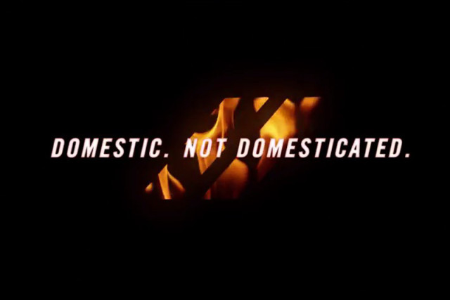 demonshot4