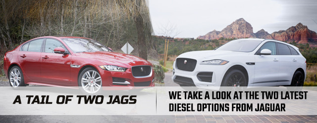 jags