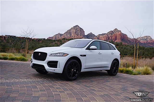 jaguar