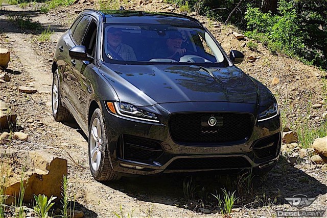 jaguar
