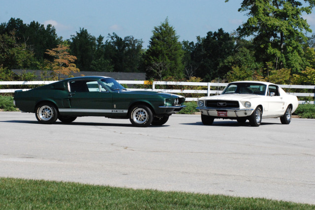 67 Shelby Side