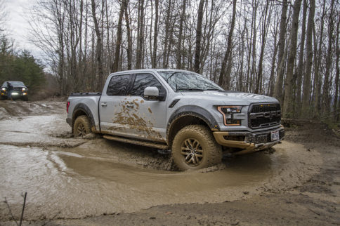 A Raptor's Purpose: Are Raptors Any Good In The Rocks?