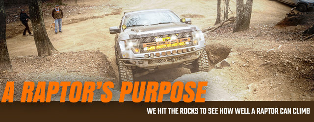 raptorpurpose
