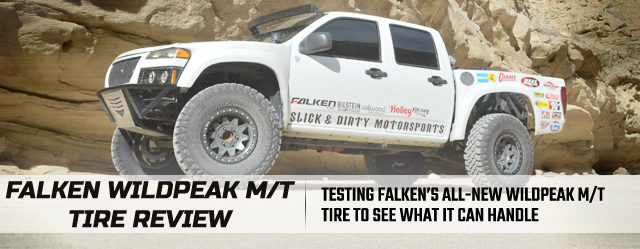 falken2
