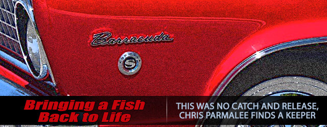 chrisparmalee-barracudaleadart