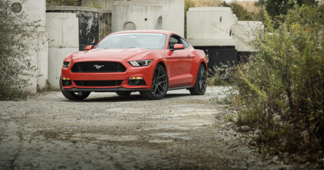 American Muscle