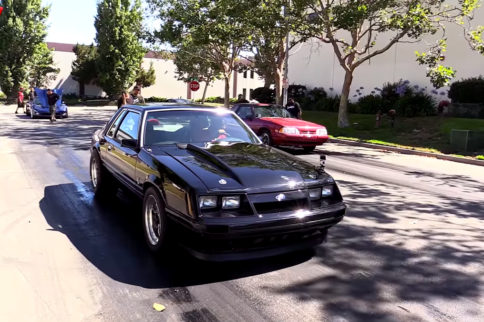 Video: Coyote Fox vs. Terminator Fox Drag Battle