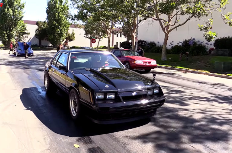 Video: Coyote Fox vs. Terminator Fox Drag Battle