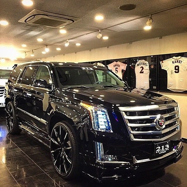 escaladeamazon