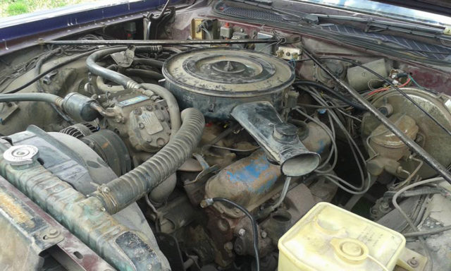 Damon explained that you can tell that it's a survivor by how it looks under the hood. 
