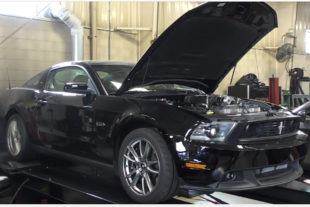2010 GT Belts Out 669 Coyote-Hunting Horsepower