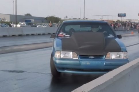 Video: Mustang Climbs Wall, Nearly Clobbers Cameraman!