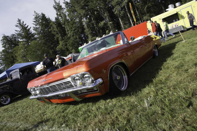 Impala