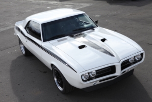 One Bad 'Bird