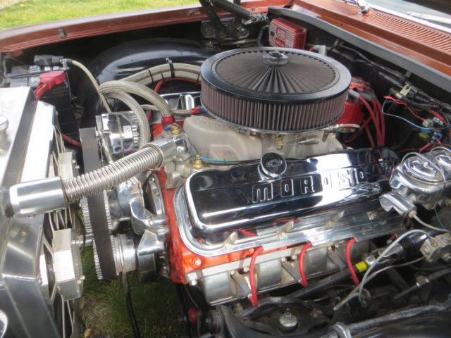 Impala