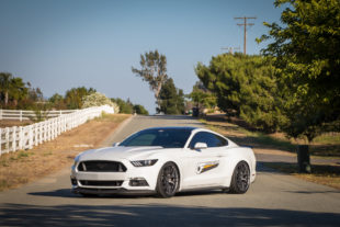 Pedders Coilovers Has This Mustang Clawing At The Road