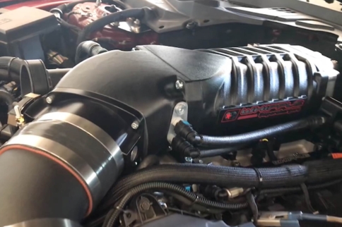 Whipple-Blown GT350 Puts Down 780 HP On The Dyno!