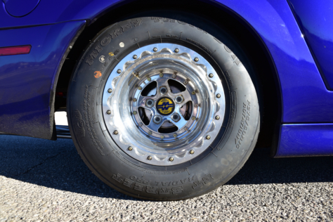 cobra-named-ferrari-2018-03-20_03-40-33_674518