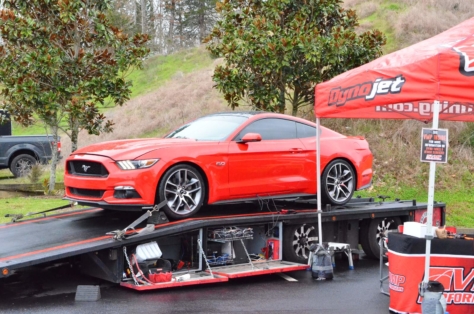 ponies-in-the-smokies-brings-out-700-mustangs-despite-snow-rain-2018-03-29_02-45-12_369621
