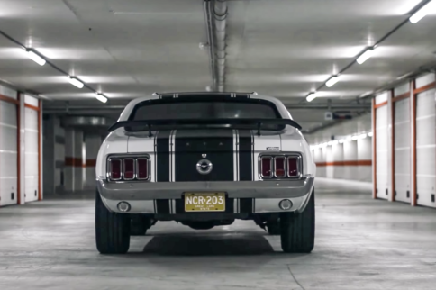 Snow White: the Mustang from Belgium