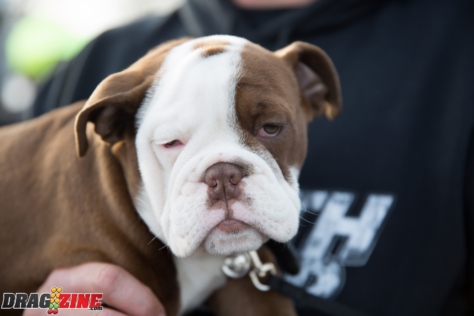 street-outlaws-no-prep-kings-visits-beech-bend-raceway-2018-03-13_15-59-01_563730